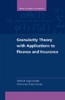 Patrick Gagliardini, Patrick Gourieroux Gagliardini, Gagliardini Patrick, Christian (University of Toronto) Gourieroux, Christian Gouriéroux - Granularity Theory With Applications to Finance and Insurance