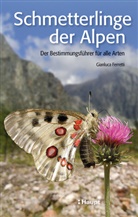 Gianluca Ferretti - Schmetterlinge der Alpen