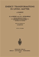 H L Kornberg, H. L. Kornberg, H.L. Kornberg, Hans Krebs, Hans A Krebs, Hans A. Krebs - Energy Transformations in Living Matter