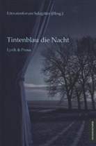 Salzgitter Literatenforum, null Literatenforum Salzgitter - Tintenblau die Nacht