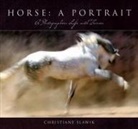 Christiana Slawik, Christiane Slawik - Horse a portrait
