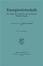 Michael Seidner - Energiewirtschaft