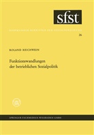 Roland Reichnwein - Funktionswandlungen der betrieblichen Sozialpolitik