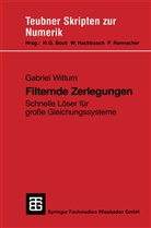 Gabriel Wittum - Filternde Zerlegungen