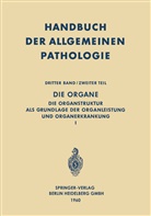 H. Begemann, Roulet, F Roulet, F. Roulet - Handbuch der allgemeinen Pathologie - 3 / 2: Die Organe