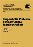Jan Szargut, Hein Satzinger, Heinz Satzinger - Ausgewählte Probleme der industriellen Energiewirtschaft