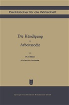 Georg Schlicke - Die Kündigung im Arbeitsrecht