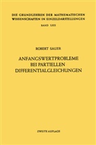 Robert Sauer - Anfangswertprobleme bei Partiellen Differentialgleichungen