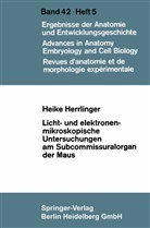 Heike Herrlinger - Licht- und elektronenmikroskopische Untersuchungen am Subcommissuralorgan der Maus