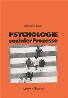 Helmut Lück - Psychologie sozialer Prozesse