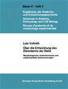 L Vollrath, L. Vollrath - Über die Entwicklung des Dünndarms der Ratte