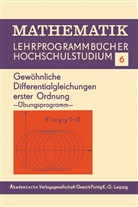 Edith Berane - Gewöhnliche Differentialgleichungen erster Ordnung