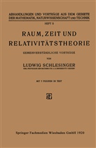 Ludwig Schlesinger - Raum, Zeit und Relativitätstheorie