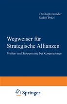 Chrostoph Bronder, Rudol H Pritzl, Rudolf H Pritzl, Rudolf H. Pritzl - Wegweiser für Strategische Allianzen