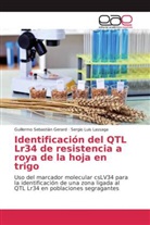 Guillermo Sebastiá Gerard, Guillermo Sebastián Gerard, Sergio Luis Lassaga - Identificación del QTL Lr34 de resistencia a roya de la hoja en trigo