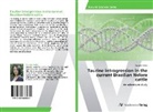 Daniela Höller - Taurine introgression in the current Brazilian Nelore cattle