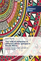 Bruce Mitchell - The role of networks in different ethnic groups in South Africa