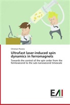 Christian Piovera - Ultrafast laser-induced spin dynamics in ferromagnets