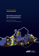 Kristin Barbey - Metropolregion im Klimawandel - Räumliche Strategien Klimaschutz und Klimaanpassung Zur Entwicklung gesamträumlicher Konzepte am Beispiel der Metropolregion Rhein-Neckar