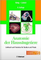 Christin Aurich, Herman Bragulla, Klaus- Budras, Horst E. König, Horst Eric König, Horst Erich König... - Anatomie der Haussäugetiere