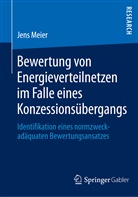 Jens Meier - Bewertung von Energieverteilnetzen im Falle eines Konzessionsübergangs