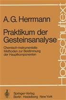 A G Herrmann, A. G. Herrmann, A.G. Herrmann - Praktikum der Gesteinsanalyse