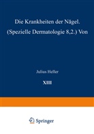 Julius Heller - Die Krankheiten der Nägel