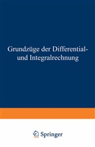 Gerhard Kowalewski - Grundzüge der Differential- und Integralrechnung