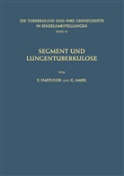 Haefliger, E Haefliger, E. Haefliger, G Mark, G. Mark - Segment und Lungentuberkulose