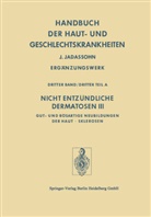 K. Holubar, V. Misgeld, H. Reich, W. Thiess, P. Wodniansky - Nicht Entzündliche Dermatosen III/A