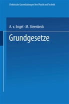 A Engel, A v Engel, A. V. Engel, M Steenbeck, M. Steenbeck - Elektrische Gasentladungen