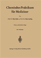 Han Bode, Hans Bode, Hans Ludwig - Chemisches Praktikum für Mediziner