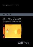 Manfred Scholdt - Temperaturbasierte Methoden zur Bestimmung der Lebensdauer und Stabilisierung von LEDs im System