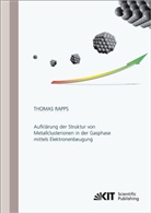 Thomas Peter Fabian Rapps - Aufklärung der Struktur von Metallclusterionen in der Gasphase mittels Elektronenbeugung