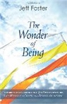 Jeff Foster, Foster Jeff - The Wonder of Being