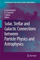 Alberto Carraminana, Alberto Carramiñana, Francisco Siddhartha Guzman, Francisco Siddharta Guzmán, Francisco Siddharta Guzmán Murillo, Tonatiu Matos... - Solar, Stellar and Galactic Connections between Particle Physics and Astrophysics