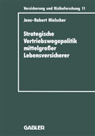 Jens-Robert Hielscher - Strategische Vertriebswegepolitik mittelgroßer Lebensversicherer