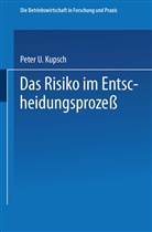 Peter Kupsch - Das Risiko im Entscheidungsprozeß
