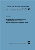 Gert Callies - Laser in der Materialbearbeitung: Modellierung von qualitäts- und effektivitätsbestimmenden Mechanismen beim Laserabtragen