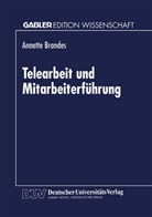 Annette Brandes - Telearbeit und Mitarbeiterführung