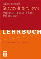 Rainer Schnell - Survey-Interviews