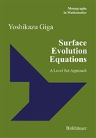 Yoshikazu Giga, Yoshikazu Gigi - Surface Evolution Equations