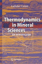 Ladislav Cemic - Thermodynamics in Mineral Sciences