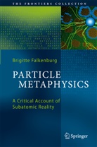 Brigitte Falkenburg - Particle Metaphysics