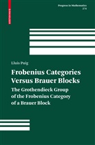 Lluis Puig, Lluís Puig - Frobenius Categories versus Brauer Blocks