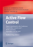 Rudibert King - Active Flow Control