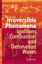 Kunio Terao - Irreversible Phenomena