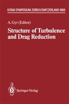 Alber Gyr, Albert Gyr - Structure of Turbulence and Drag Reduction