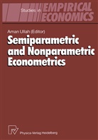 Ama Ullah, Aman Ullah - Semiparametric and Nonparametric Econometrics