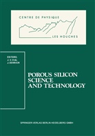 Derrien, Derrien, Jacques Derrien, Jean-Claud Vial, Jean-Claude Vial - Porous Silicon Science and Technology